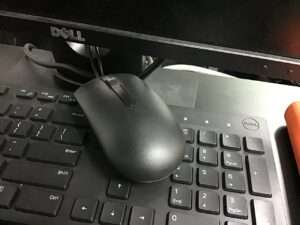 Computer mouse and keyboard